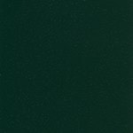 Зеленый мох.jpg